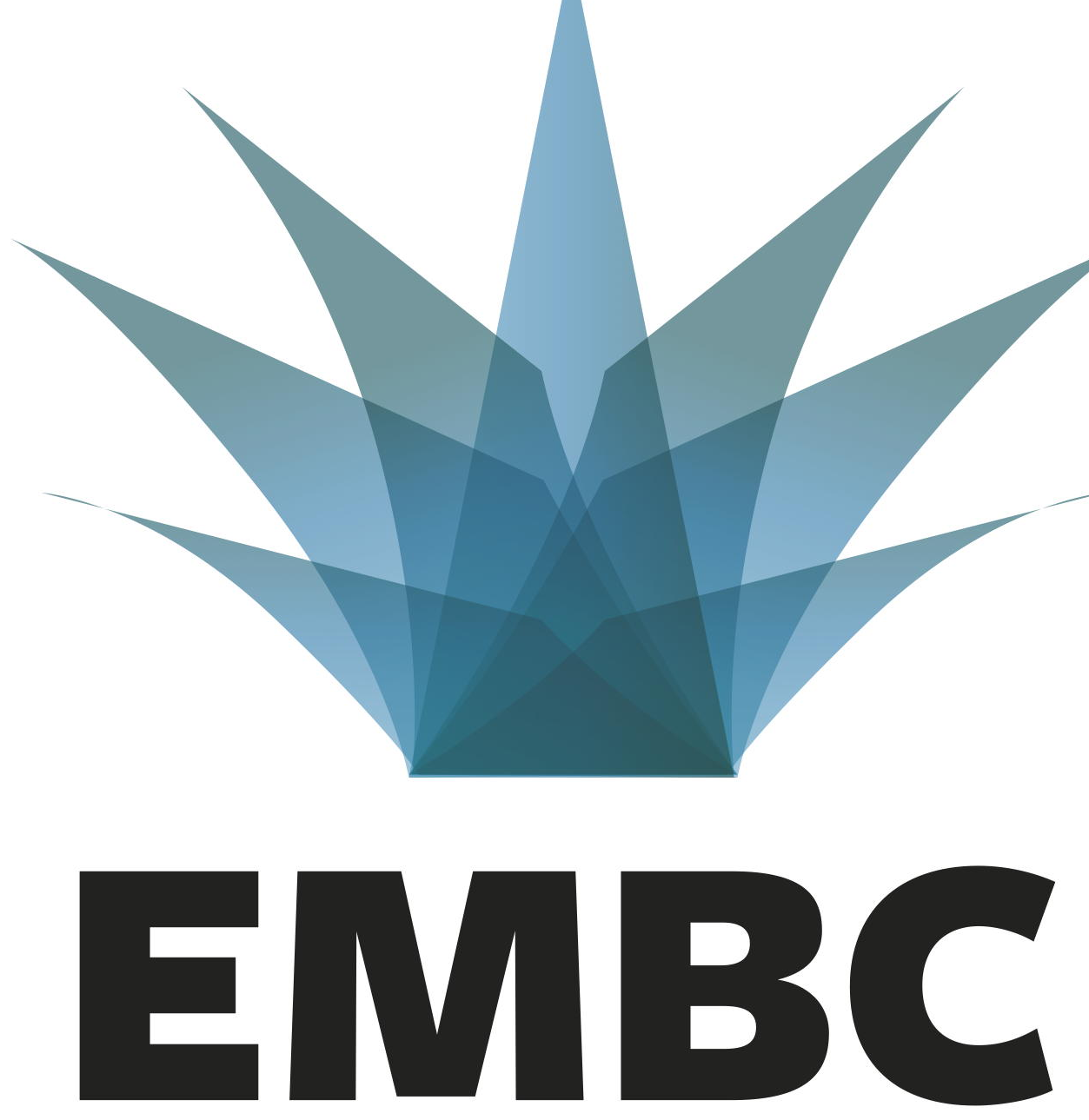 Five papers were accepted at the Engineering in Medicine and Biology Conference (EMBC) 2021